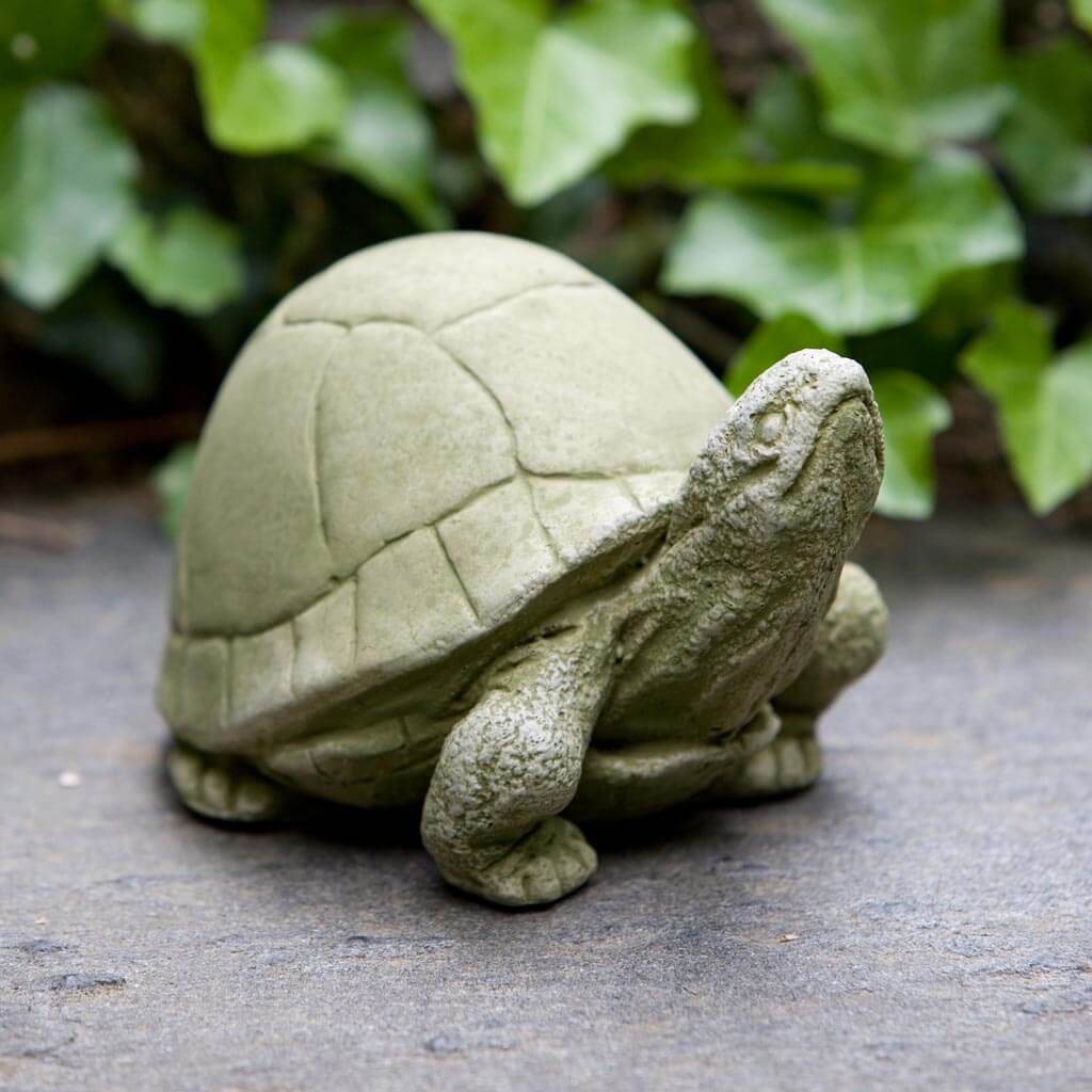 Cement Box Turtle