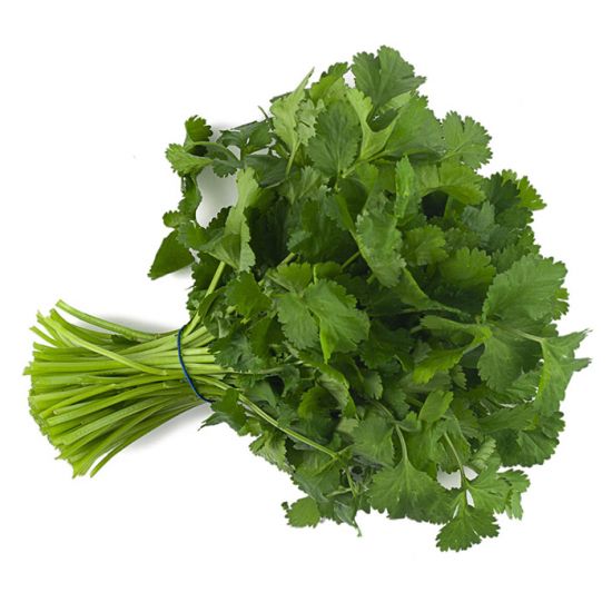 Cilantro, Santo