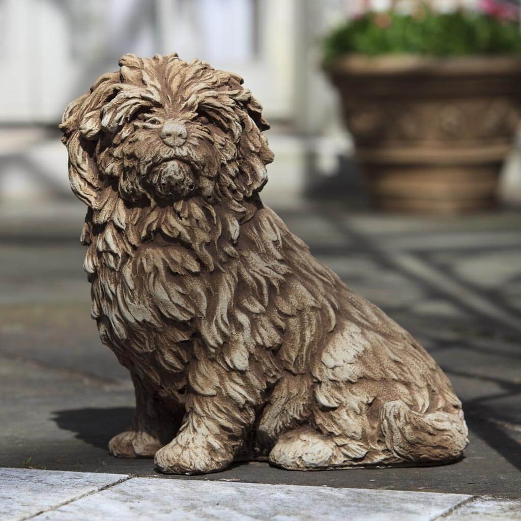 Cement Fluffy Dog