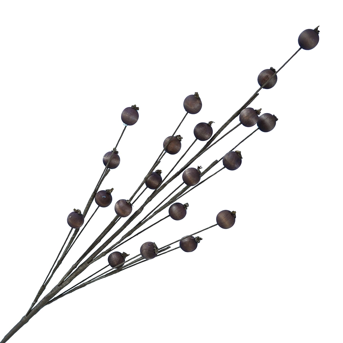 Huckle Berry Spray 27.5"