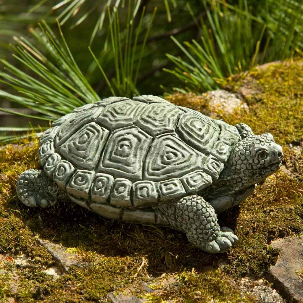 Cement My Pet Turtle