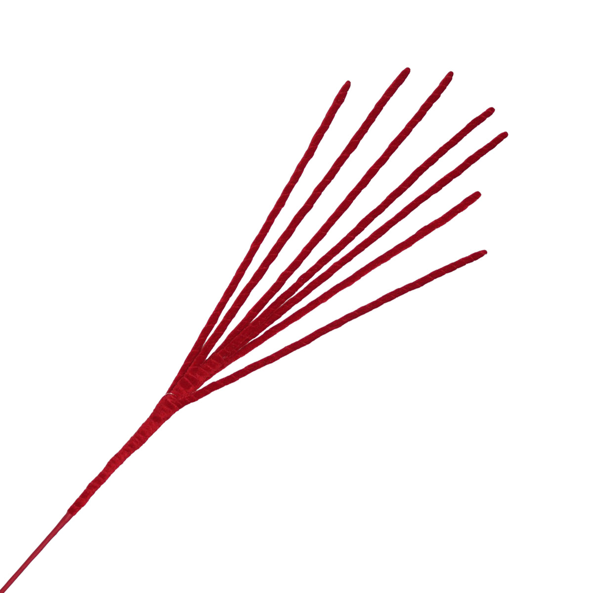 Spike Spray, Red Velvet