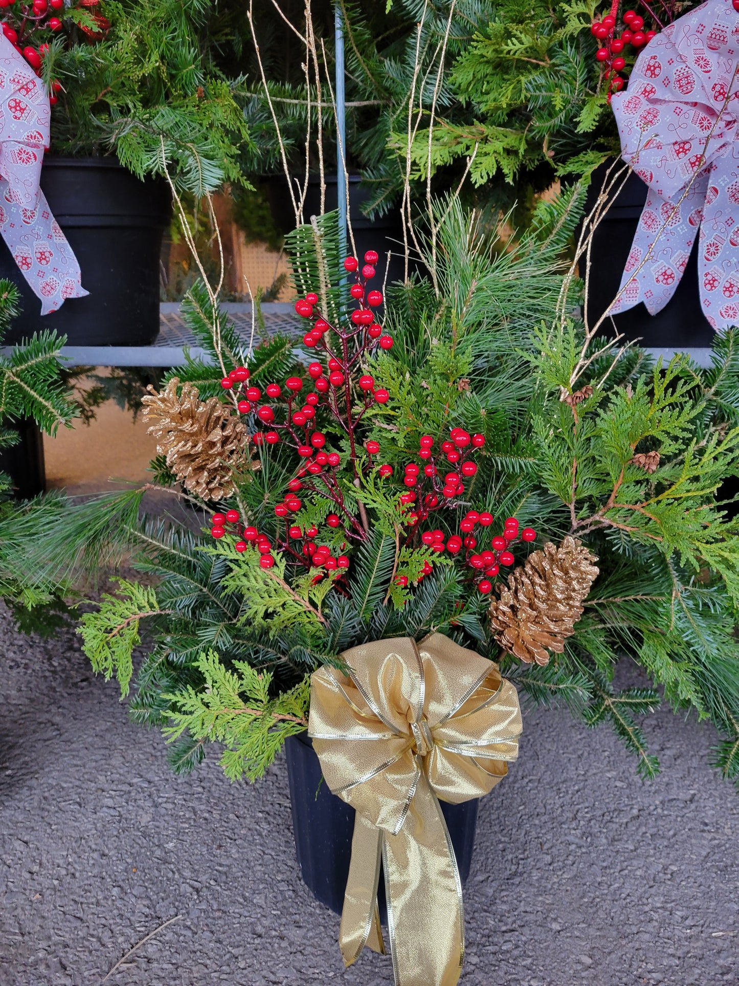 Porch Planter, Assorted