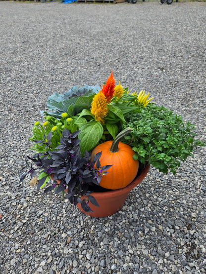 Planter, Fall Mix