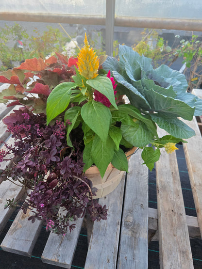 Planter, Fall Mix