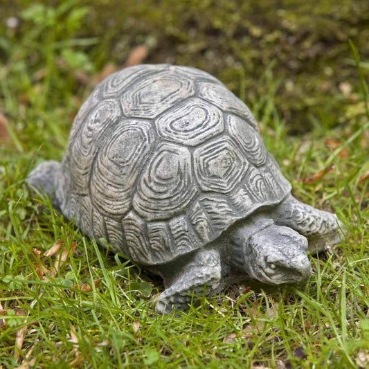 Cement Small Turtle