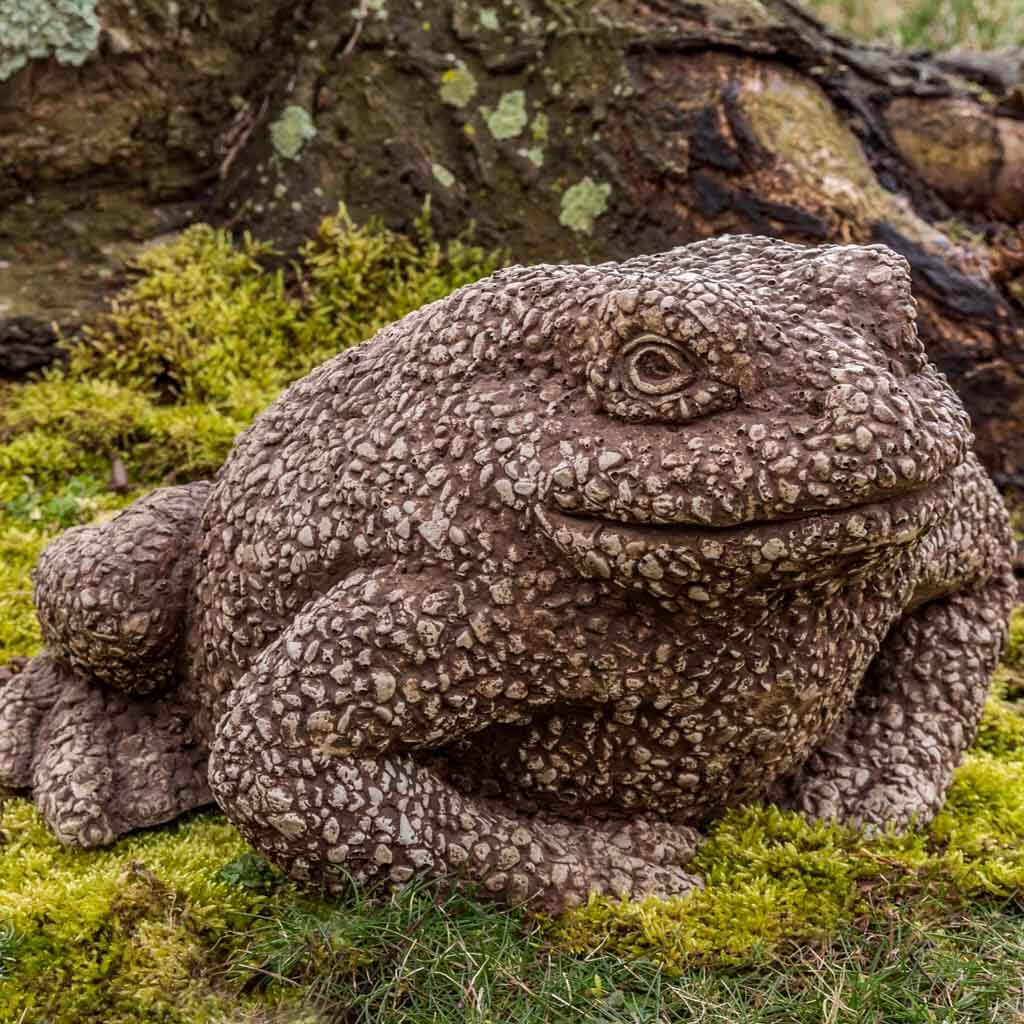 Cement Forest Toad