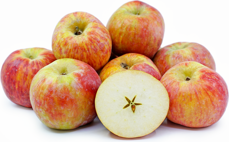 Apple, Red Gravenstein (Semi-Dwarf)