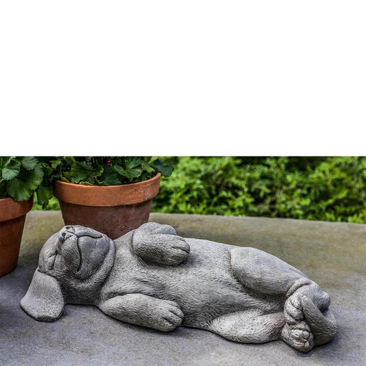 Cement Belly Rubs