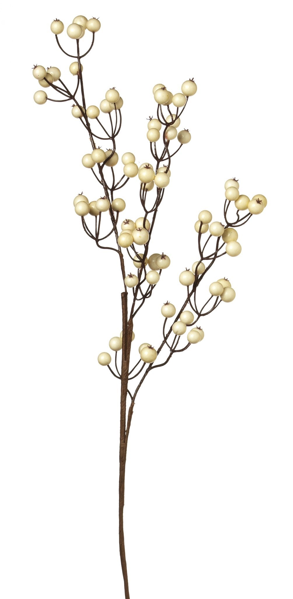 Berry Spray, Outdoor