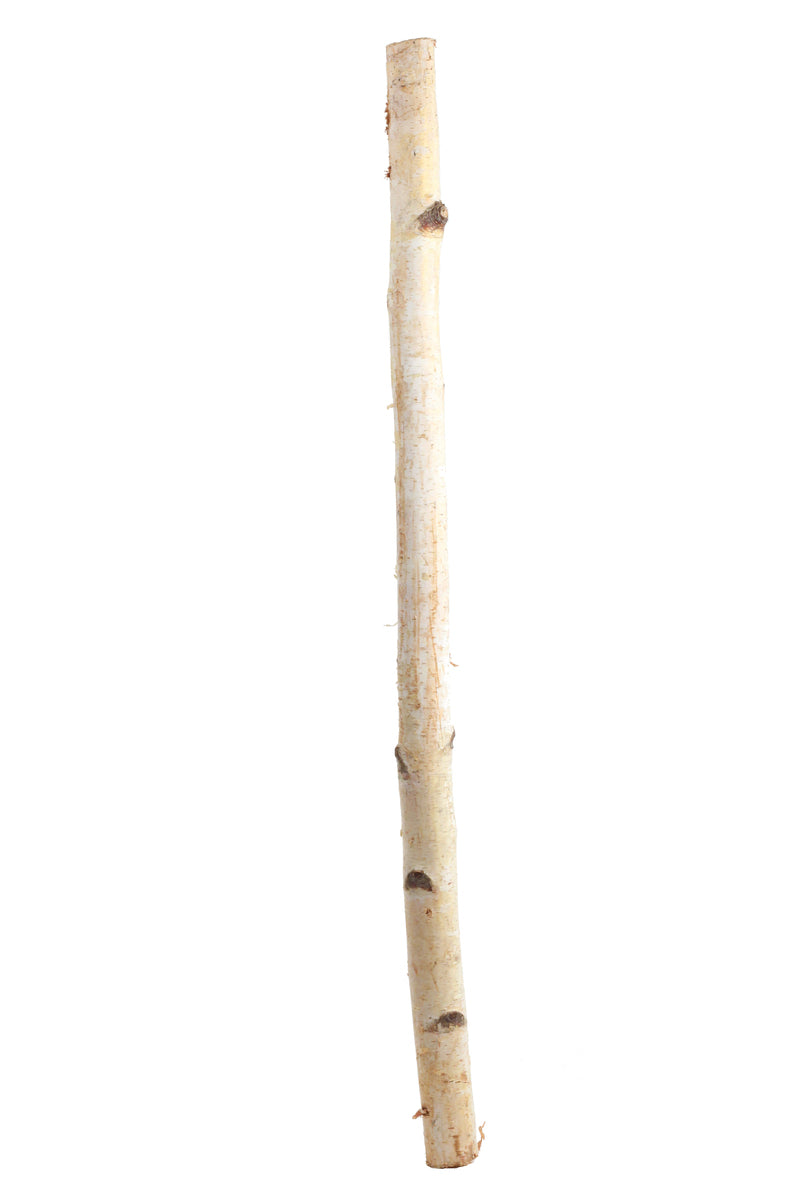 Birch Pole, 3 feet