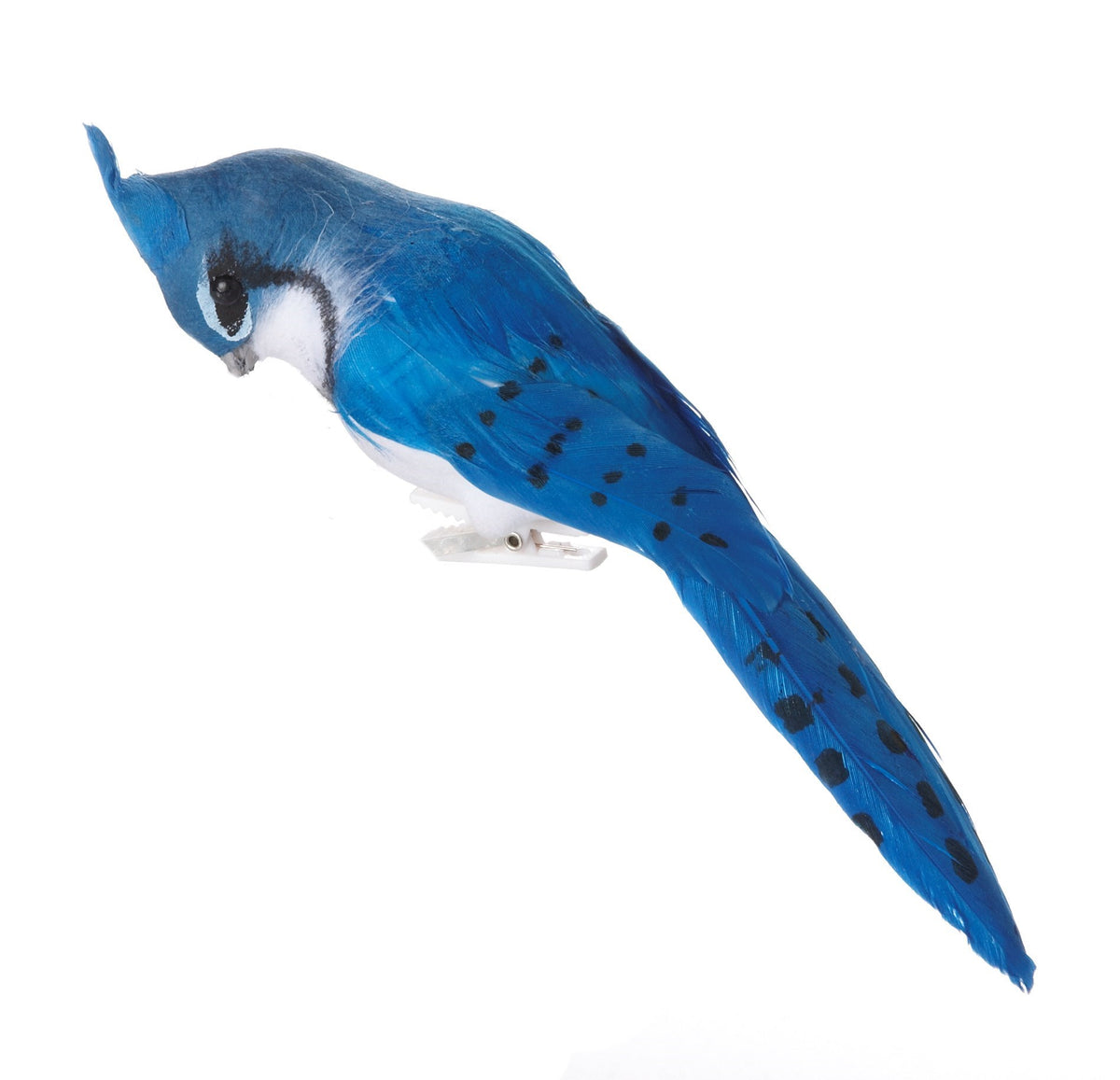 Blue Jay, Feathered with clip 6"