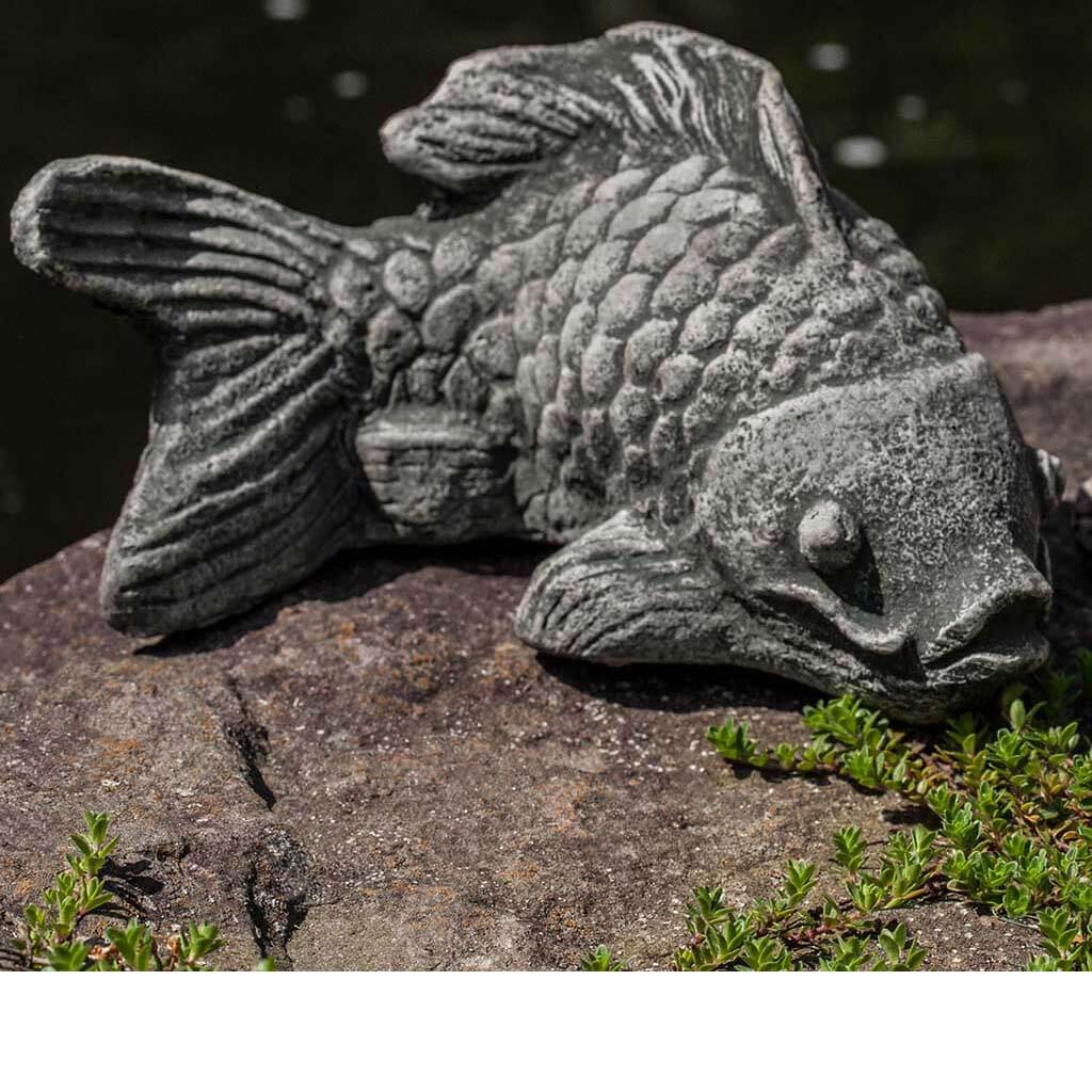 Cement Coy Koi