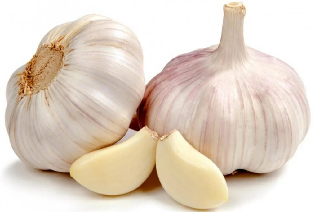 Garlic Bulb, German White Hardneck 3/ pkg