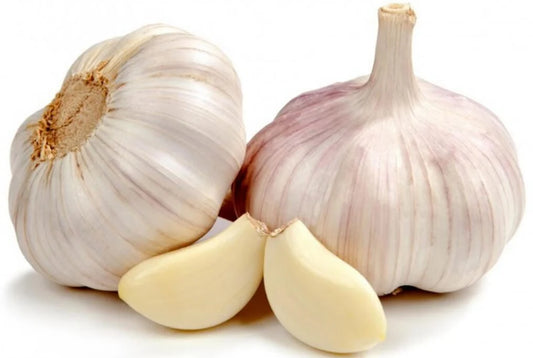 Garlic Bulb, German White Hardneck 3/ pkg