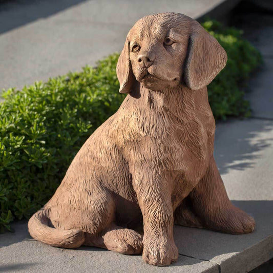 Cement Golden Retriever Puppy