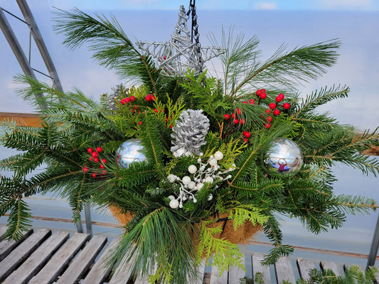 Hanging Basket, Christmas