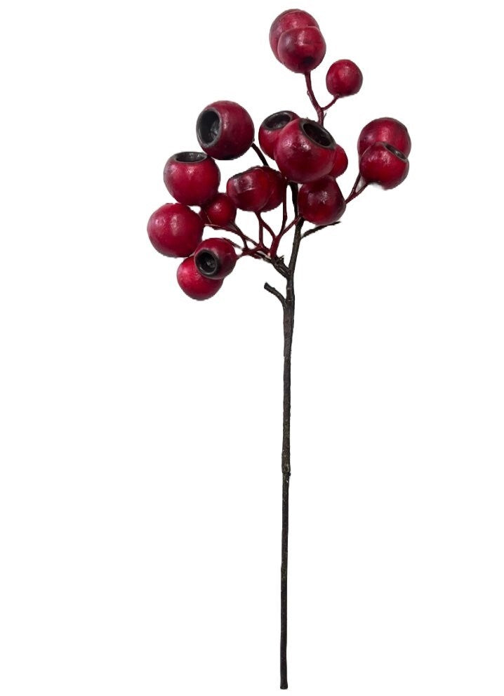 Lychee Pods 11"