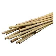 Bamboo Stake