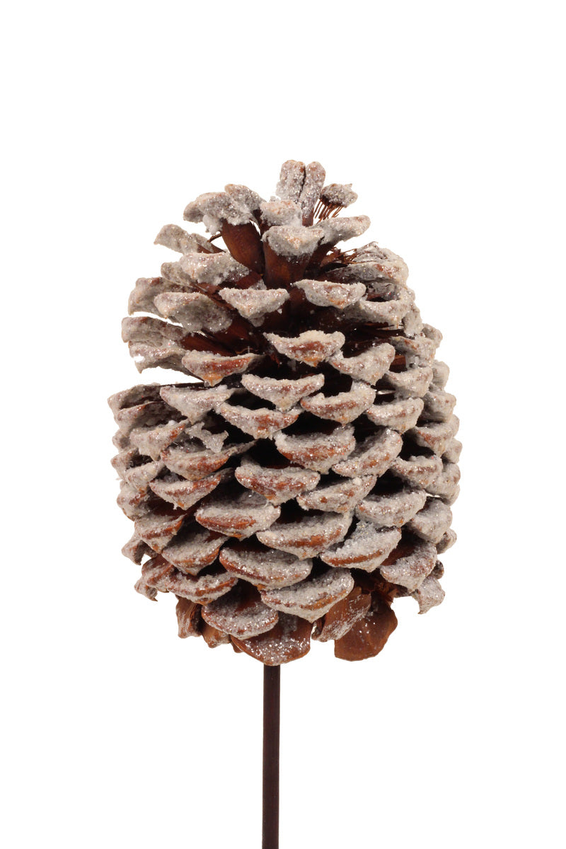 Pinecone