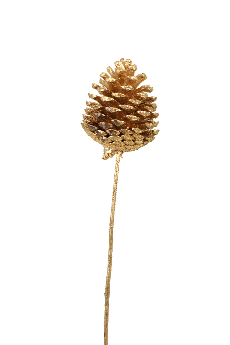 Pinecone