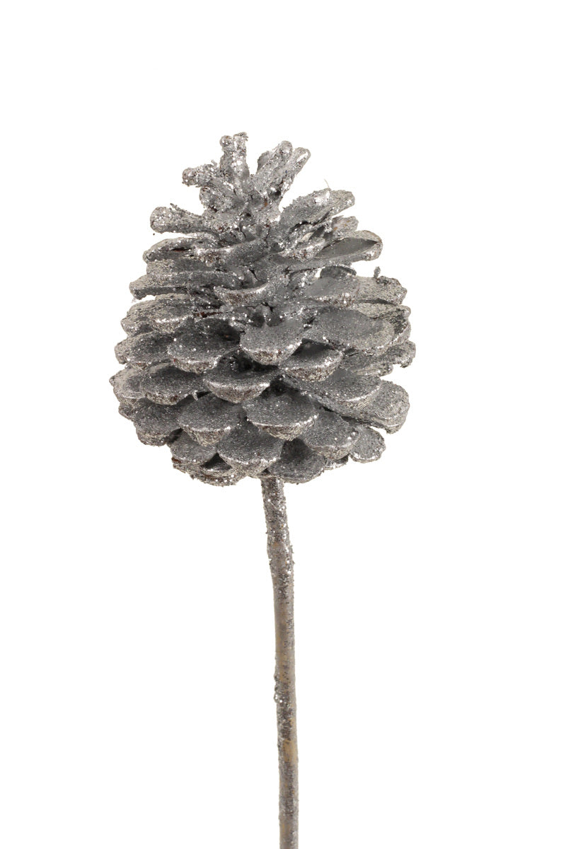 Pinecone