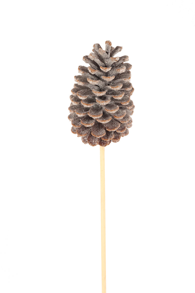 Pinecone