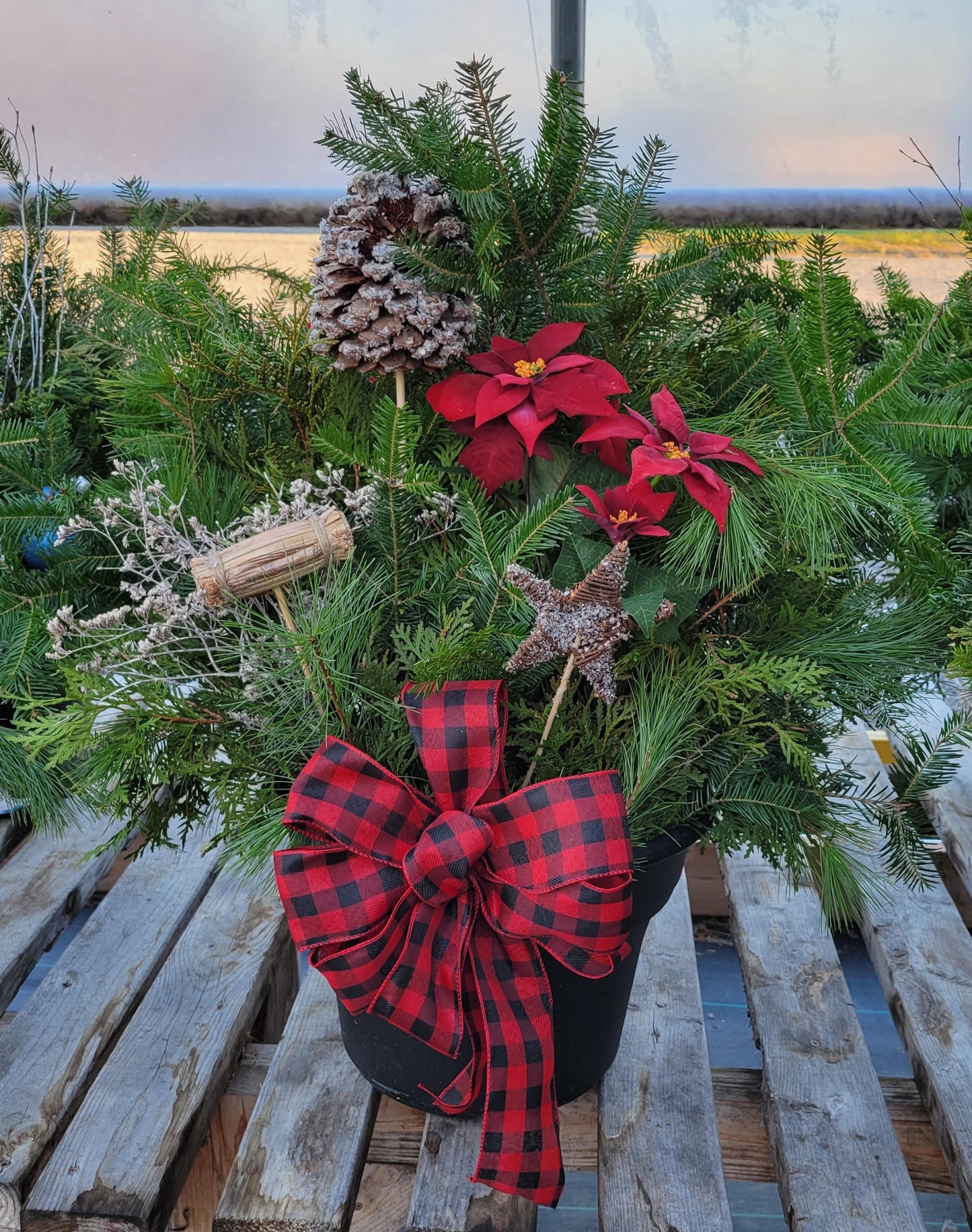 Make & Take Workshop - Large Festive Porch Planter