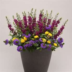 13" Container