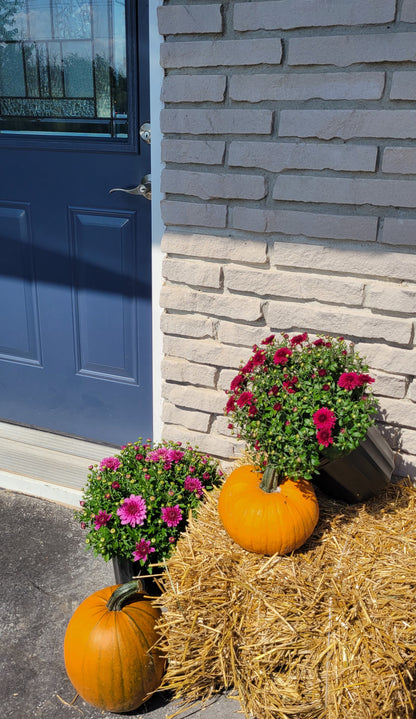 Porch Package, Autumn