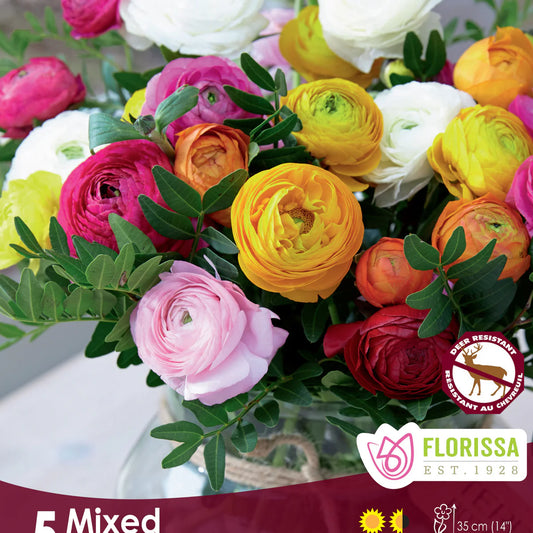 Rununculus, Mixed 5/ pkg