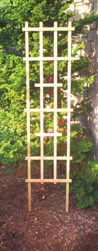 Trellis, Cedar