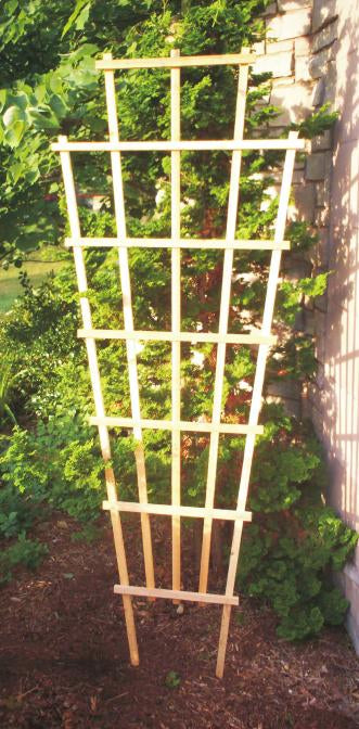Trellis, Cedar
