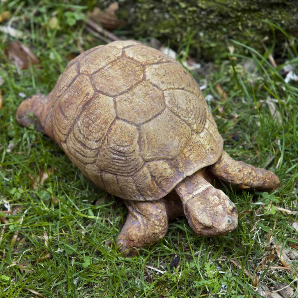 Cement Turtles