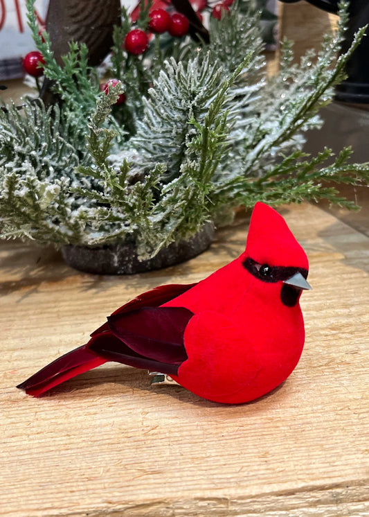 Cardinal, 4" with Clip