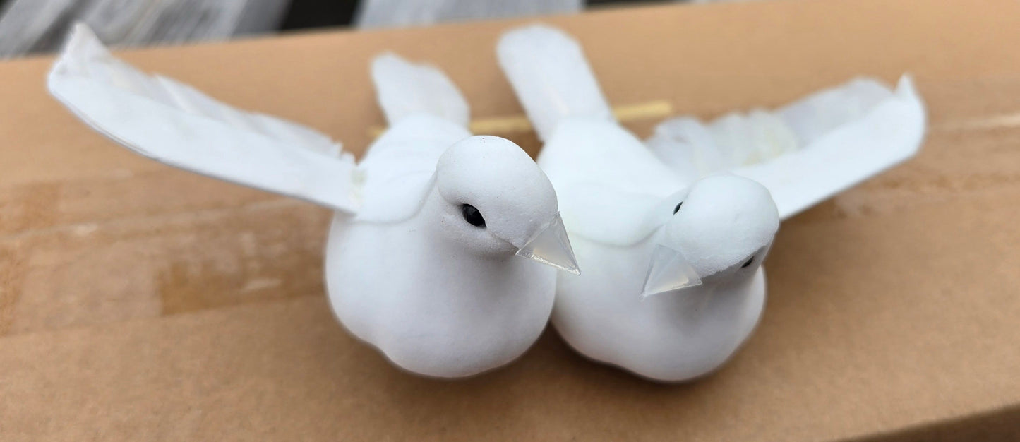 Dove, Pair with clip