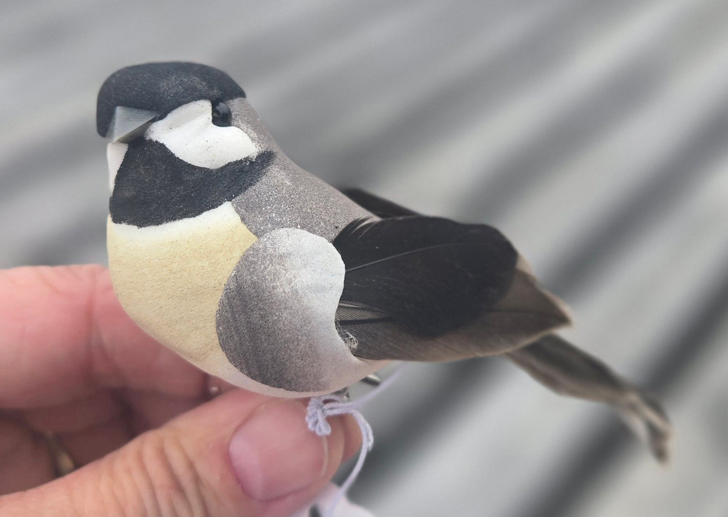 Chickadee with Clip