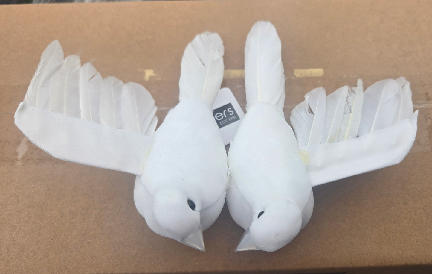 Dove, Pair with clip